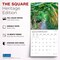 Plato; Gorgeous Gardens | 2027 12 x 24 Inch (Hanging) Monthly Square Wall Calendar | Foil Stamped Cover; Category:Wall Calendars; Image:7